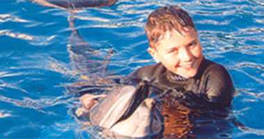 Derek SeaWorld Dolphin Derek SeaWorld Dolphin